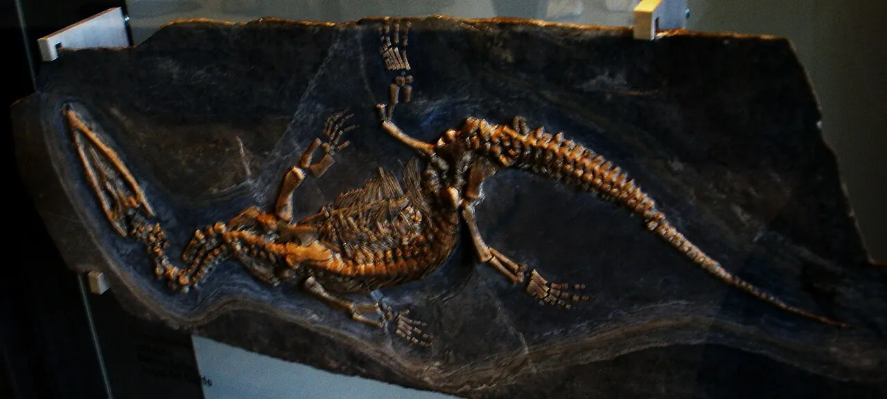 เซเรซิโอซอรัส (Ceresiosaurus)