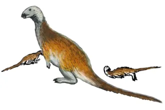ชาคิซอรัส (Chakisaurus)