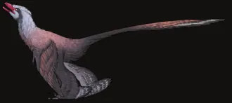 ฉางโจวซอรัส (Changzhousaurus)