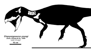 เฉาหยางซอรัส (Chaoyangsaurus)