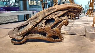 คารอโนซอรัส (Charonosaurus)