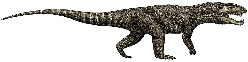 เชียยูซูคัส (Chiayusuchus)