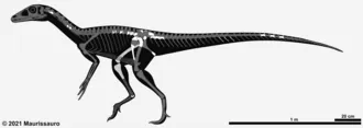 ชินเดซอรัส (Chindesaurus)