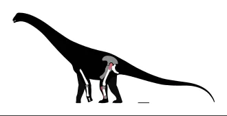 ชูคาโรซอรัส (Chucarosaurus)