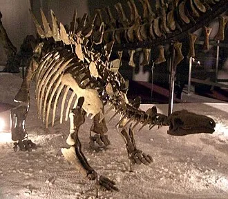 ชุงกิงโกซอรัส (Chungkingosaurus)