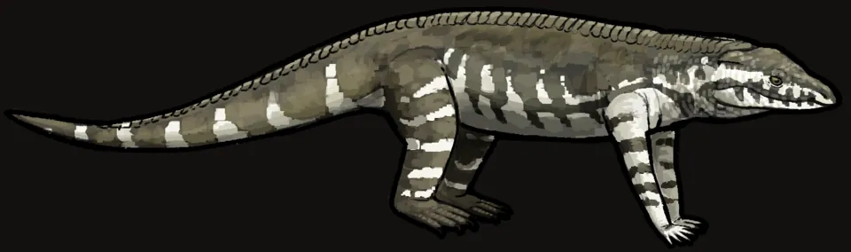 โคโลราไดซูคัส (Coloradisuchus)