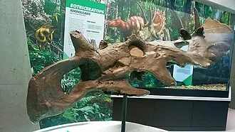 โคโรโนซอรัส (Coronosaurus)