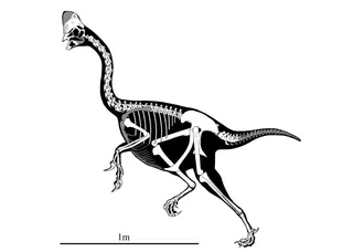 คอรีโธแรปเตอร์ (Corythoraptor)