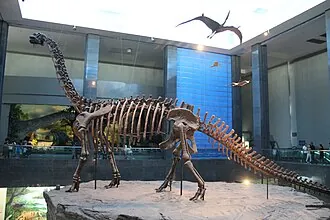 ต้าชงโกซอรัส (Dachongosaurus)