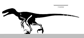 ดาโคตาแรปเตอร์ (Dakotaraptor)