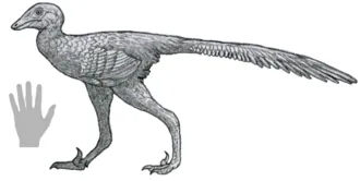 ตาเหลียนซอรัส (Daliansaurus)