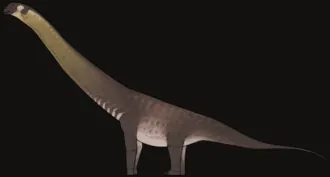 ดาโซซอรัส (Dasosaurus)