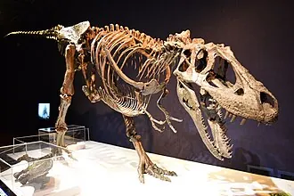 เดสเพลโตซอรัส (Daspletosaurus)