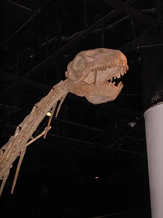 ดาโตซอรัส (Datousaurus)