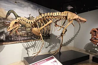 เดลตาโดรเมอุส (Deltadromeus)