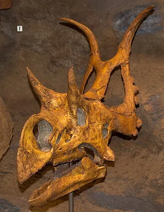 ไดอะโบโลเซอราทอปส์ (Diabloceratops)