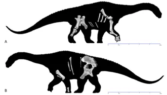 ไดอะแมนตินาซอรัส (Diamantinasaurus)