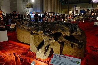 ตงหยางโกซอรัส (Dongyangosaurus)