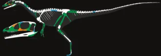 ดราโคแรปเตอร์ (Dracoraptor)