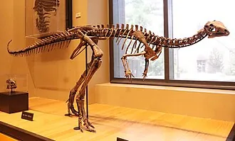 ไดรโอซอรัส (Dryosaurus)