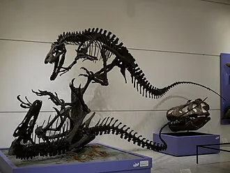ดริปโตซอรัส (Dryptosaurus)