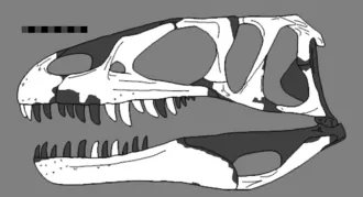 ดูบรูยิโลซอรัส (Dubreuillosaurus)