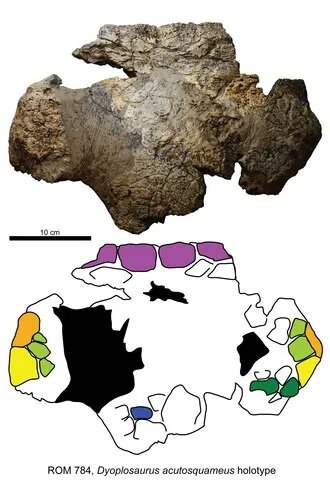 ไดโอโพลซอรัส (Dyoplosaurus)