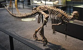 ดิสซาโลโทซอรัส (Dysalotosaurus)