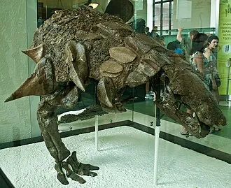 เอ็ดมอนโทเนีย (Edmontonia)