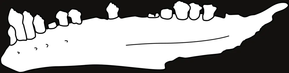 เอเมาซอรัส (Emausaurus)