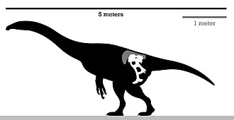 เอนิกโมซอรัส (Enigmosaurus)