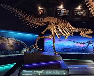 เอโออาเบลิซอรัส (Eoabelisaurus)