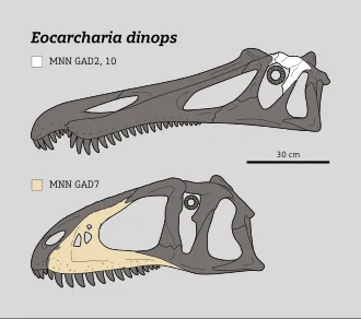 เอโอคาร์คาเรีย (Eocarcharia)