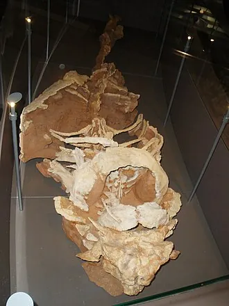 อีโอพินาโคซอรัส (Eopinacosaurus)
