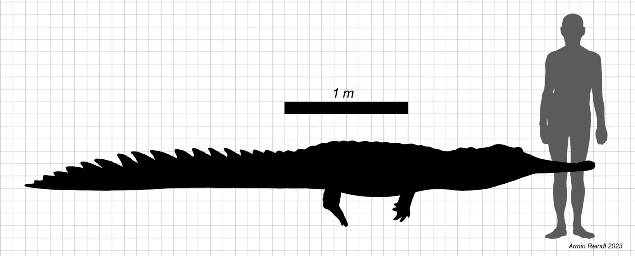 อีโอโธราโคซอรัส (Eothoracosaurus)