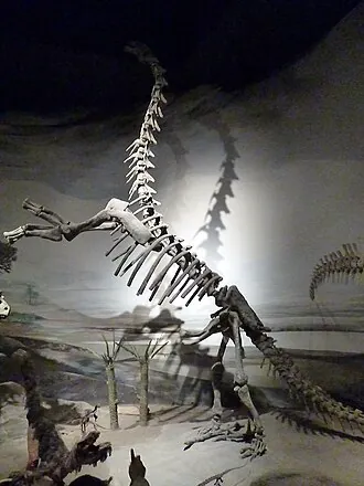 เอแพคโทซอรัส (Epachthosaurus)