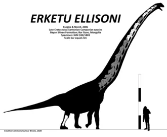 เออร์เคตู (Erketu)