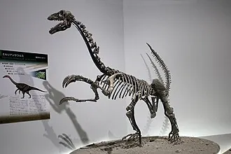 เอ่อเหลียนซอรัส (Erliansaurus)