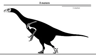 เออร์ลิโคซอรัส (Erlikosaurus)