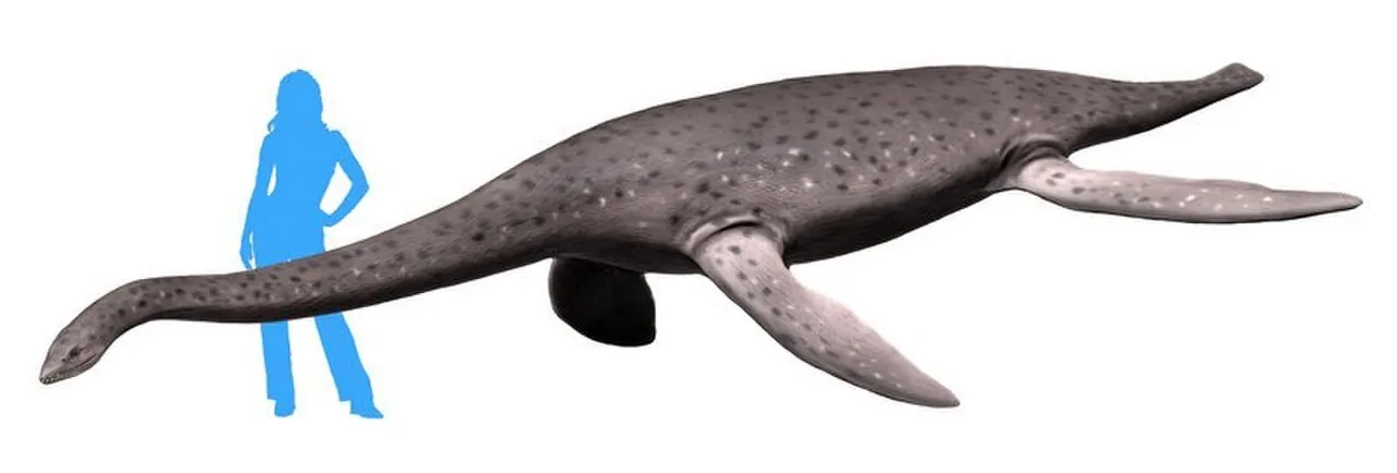 เอโรมังกาซอรัส (Eromangasaurus)