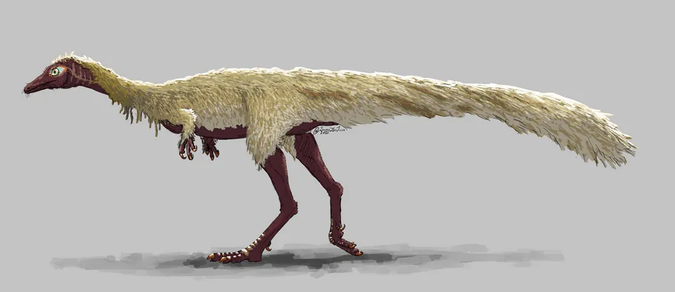 เอริโทรเวเนเตอร์ (Erythrovenator)
