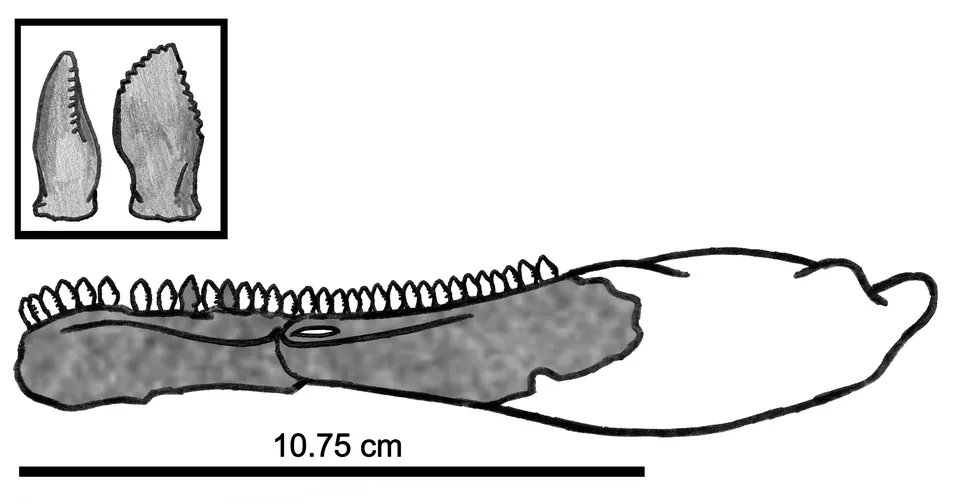 เอชานโนซอรัส (Eshanosaurus)