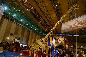 ยูเฮโลปัส (Euhelopus)