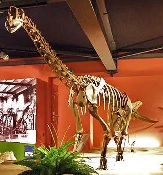 ยูโรปาซอรัส (Europasaurus)