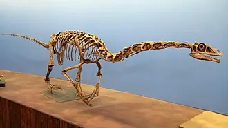 ฟัลคาเรียส (Falcarius)