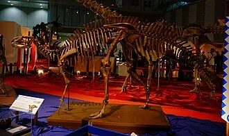 ฟุคุยซอรัส (Fukuisaurus)