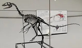ฟุคุอิเวเนเตอร์ (Fukuivenator)