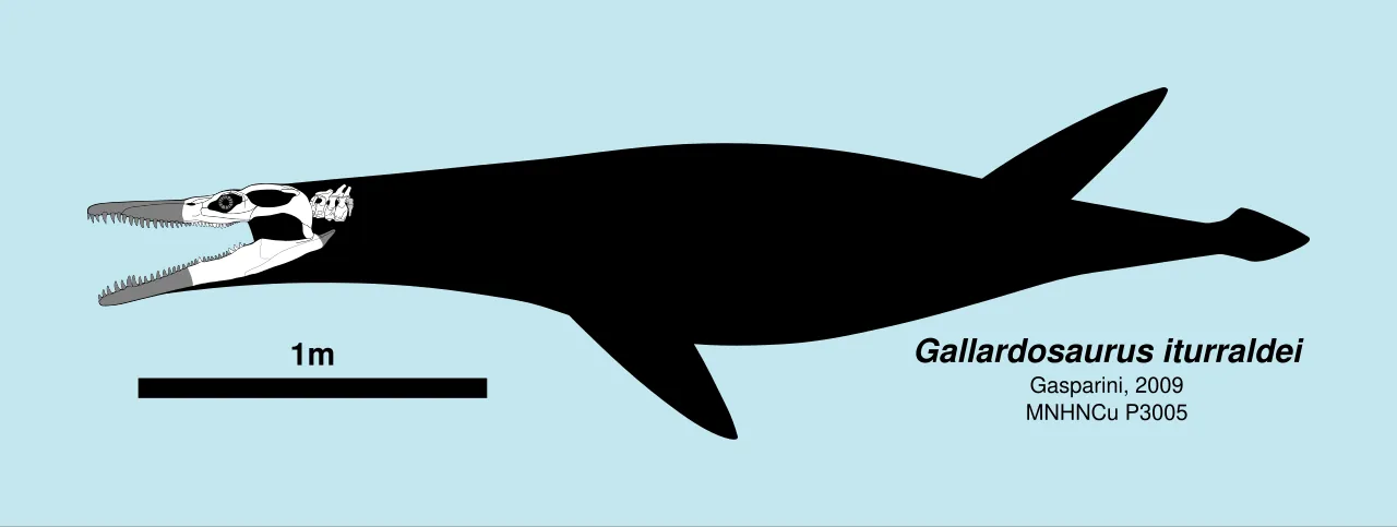 กัลลาร์โดซอรัส (Gallardosaurus)