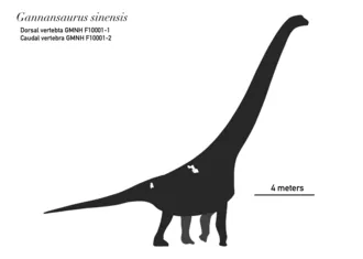 แกนแนนซอรัส (Gannansaurus)