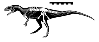 แกโซซอรัส (Gasosaurus)
